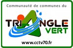 Classic Mid- Am du Traingle Vert