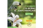 Trophée du Lys Blanc et du Café Français